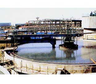 種類繁多，規格齊全